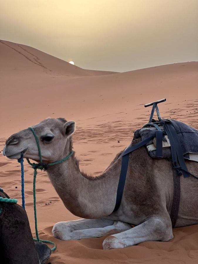 Riad Aicha & Camel Trekking Merzuga Kültér fotó