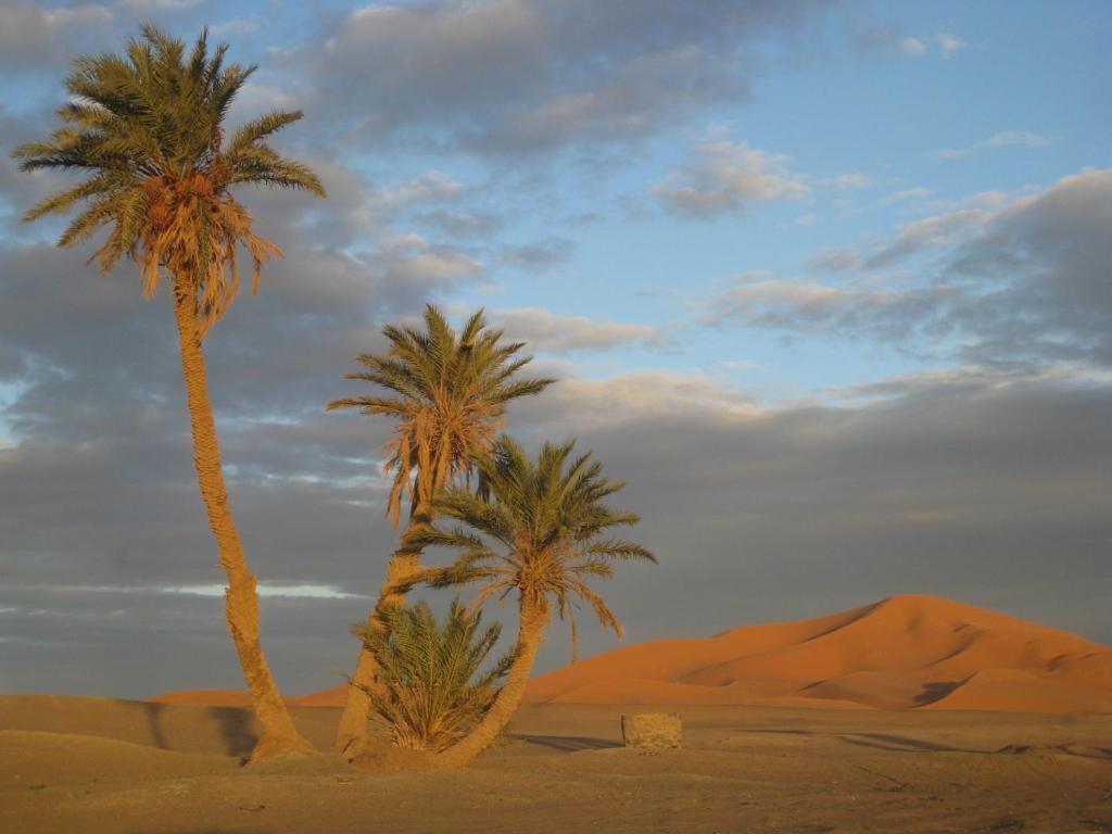 Riad Aicha & Camel Trekking Merzuga Kültér fotó